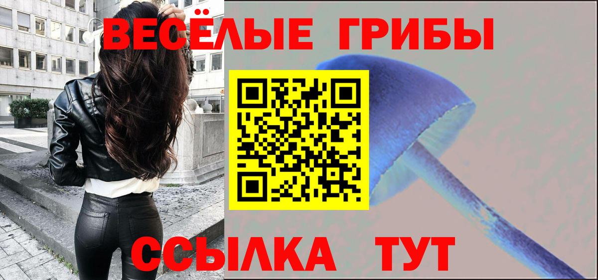 Галлюциногенные грибы прущие грибы  Галлюциногенные грибы мухоморы  Вход с VPN  купить наркотики сайты  Топки 